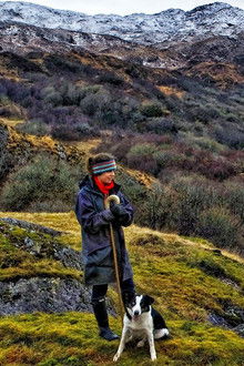 Snowdonia Shepherdess