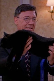 Cat Showdown
