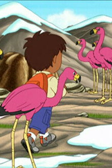 A New Flamingo Mami