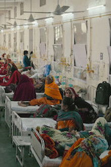 Hold On to Your Roots