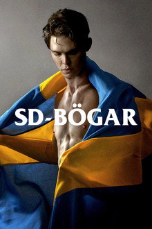 SD-Bögar poster