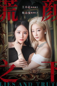 谎颜之下 poster