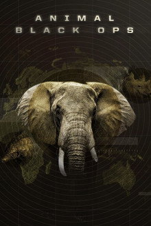 Animal Black Ops poster