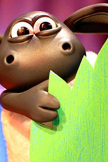 Timmy Steals The Show