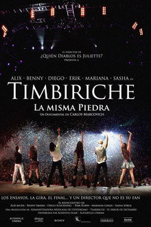Timbiriche: La misma piedra poster