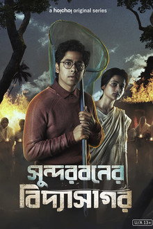 Sundarbaner Vidyasagar poster