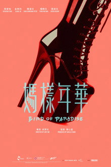 Bird of Paradise poster