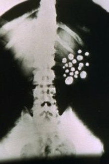 The £50,000 Breakfast