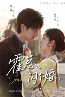 霍总，闪个婚 poster
