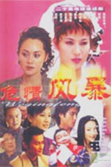 危情风暴 poster