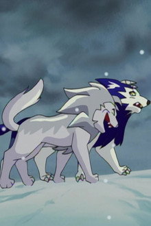 Tiger's Battle With Destiny