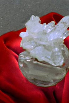 Methuselah's Gift