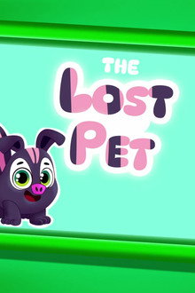 The Lost Pet