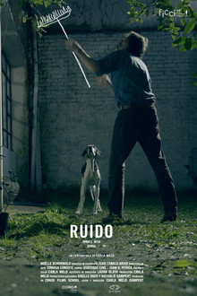 Ruido poster