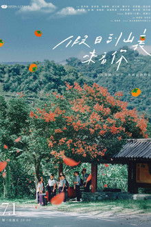 Holidays in the Mountains poster