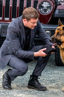 A Stab in the Dark Web