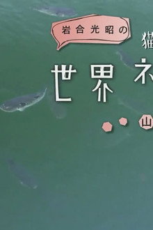 Yamaguchi