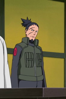 The Brilliant Military Advisor of the Hidden Leaf