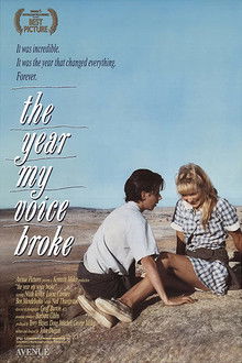 The Year My Voice Broke poster