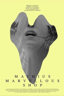 Mathius Marvellous Shop poster