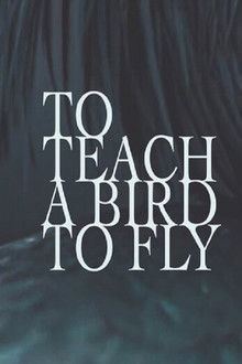 To Teach a Bird to Fly poster