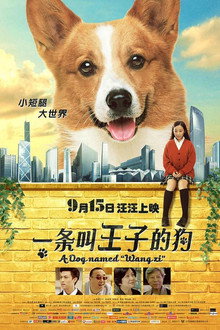 A Dog Named Wang Zi poster