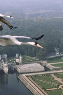 Earthflight: Europe