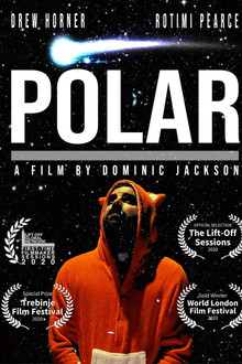 Polar poster