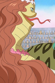A Difficult Fight for Luffy! The Snake Sisters' Haki Power!!