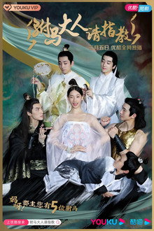 Princess! You have Five Husbands! poster