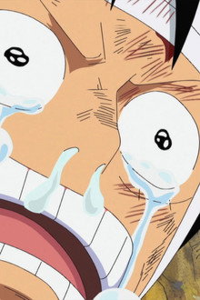 I Want to See Them! Luffy's Mournful Cry!