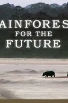 Rainforests for the Future