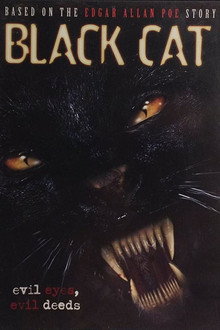 Black Cat poster