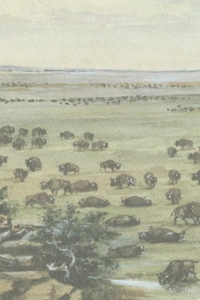 The Southern Plains