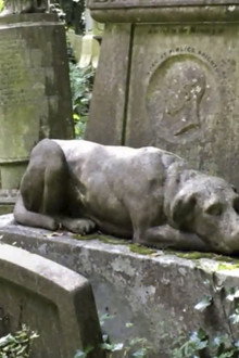 Ghost Dogs and More