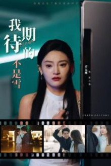 我期待的不是雪 poster