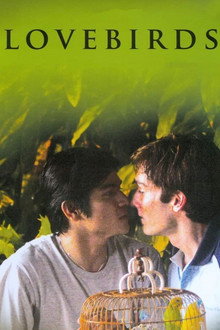 Lovebirds poster