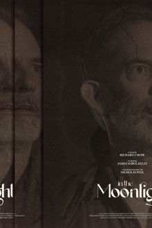 In The Moonlight poster