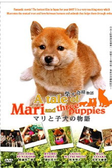 A Tale of Mari and Three Puppies poster