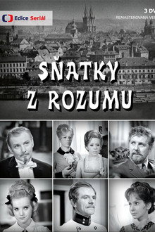Sňatky z rozumu poster
