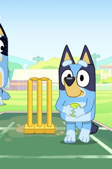 Cricket