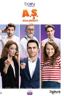 Aile Şirketi poster