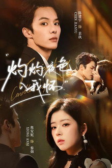 灼灼夜色入我怀 poster