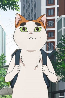 Episode 11