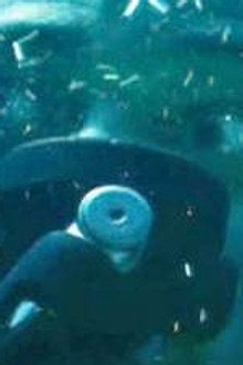 The Deep