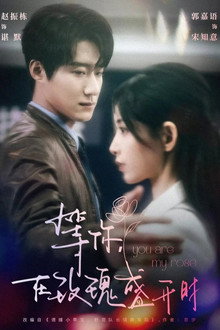 等你,在玫瑰盛開時 poster