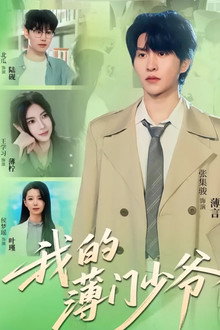 我的薄门少爷 poster