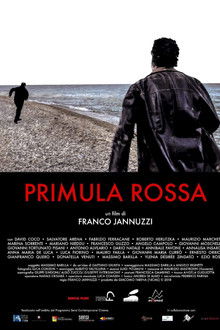 Primula Rossa poster