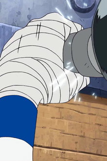 Capture Robin! The Determination of the Straw Hats!
