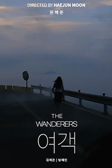 The Wanderers poster